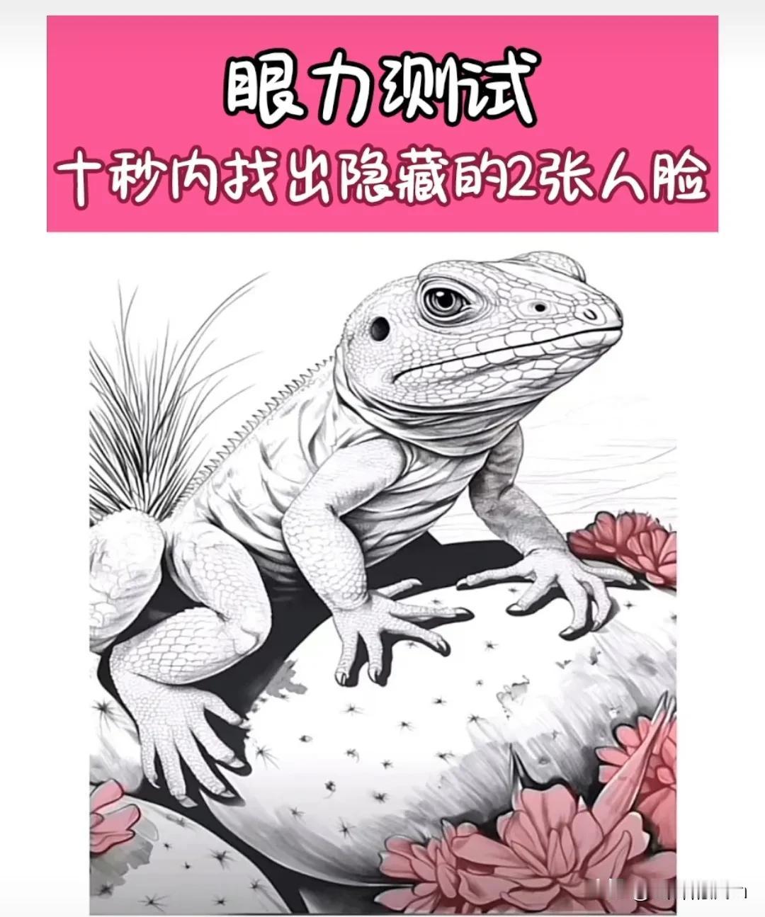[我想静静]最失败的一次了，一个也没找到，你能找到吗？哪怕一个也行，就服你[作揖