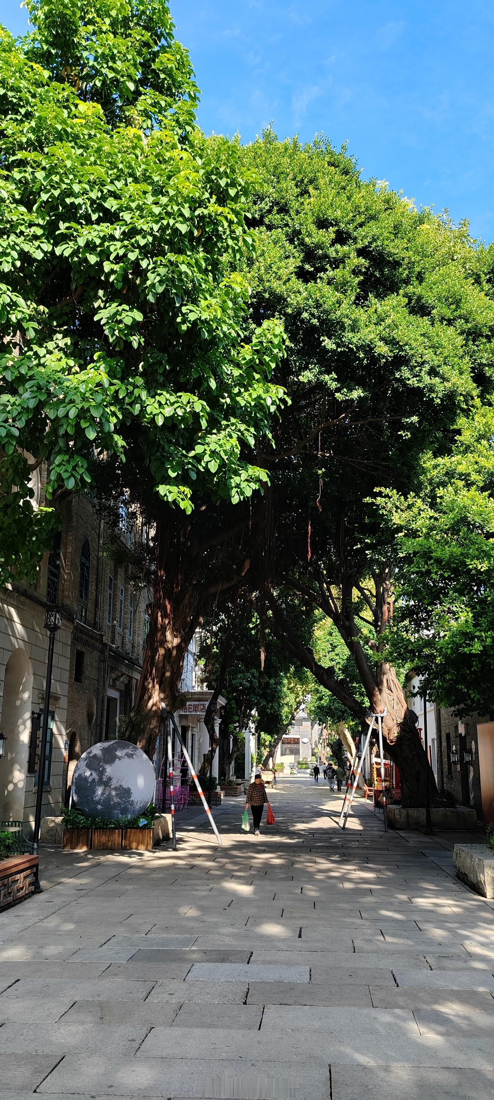 别人的认可是最廉价的枷锁 我们这一生，好像都在追着别人的认可跑：怕说不对话被嫌弃