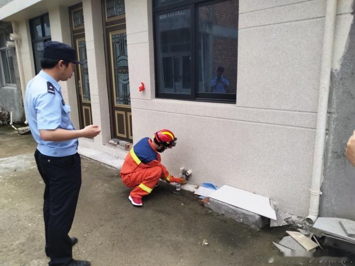 一场暖心接力让台州受伤萌禽重返自然怀抱 村民报警、消防员接棒、林业部门收尾——台