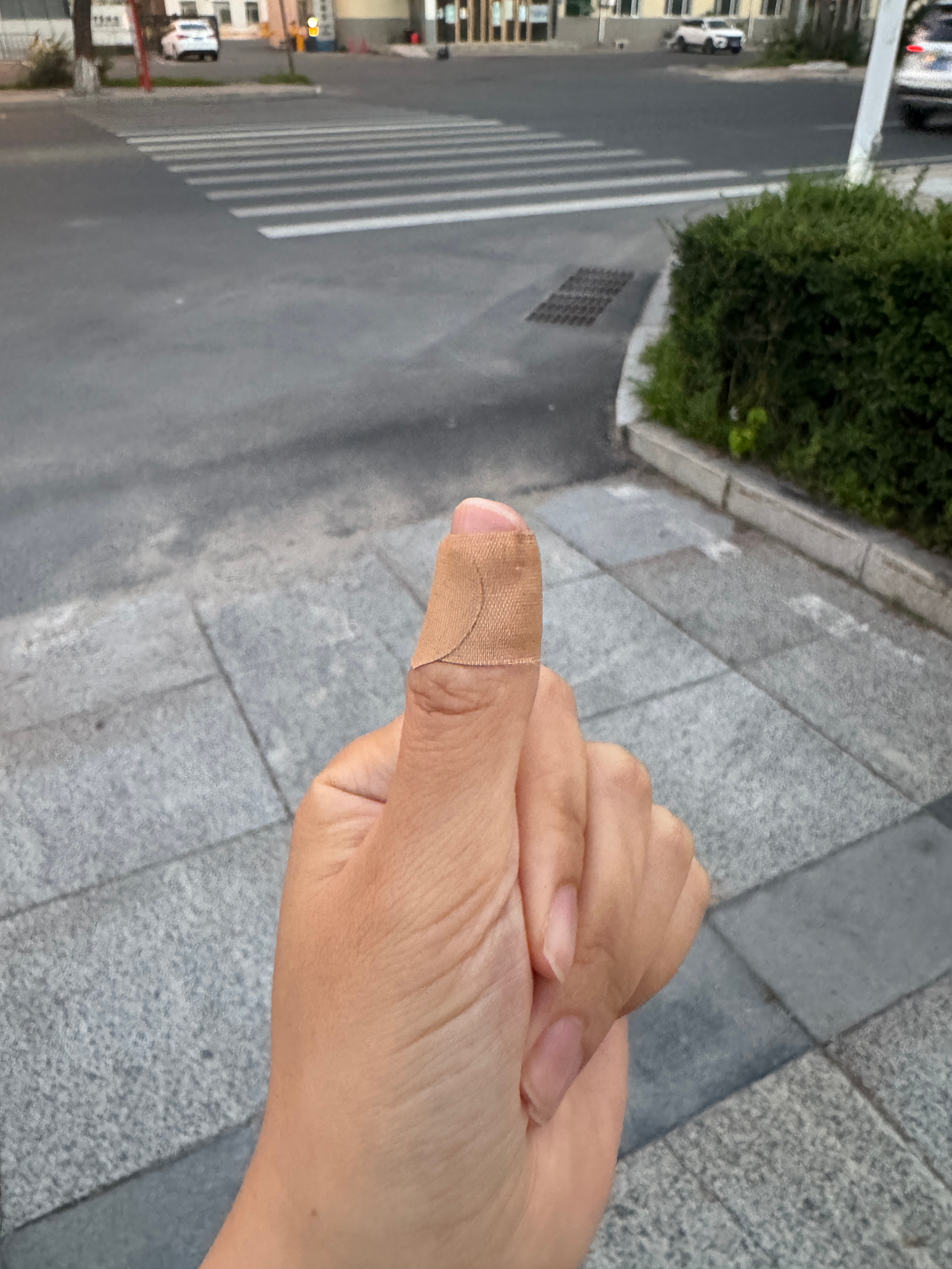 今晚一小时课，老师教了我两首曲子，分别是《长相思》与《我和你》。已经一个多月没弹