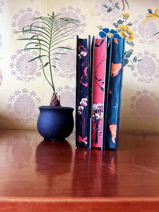 绝美！西西弗×畅销君，解锁加贺的成长经历