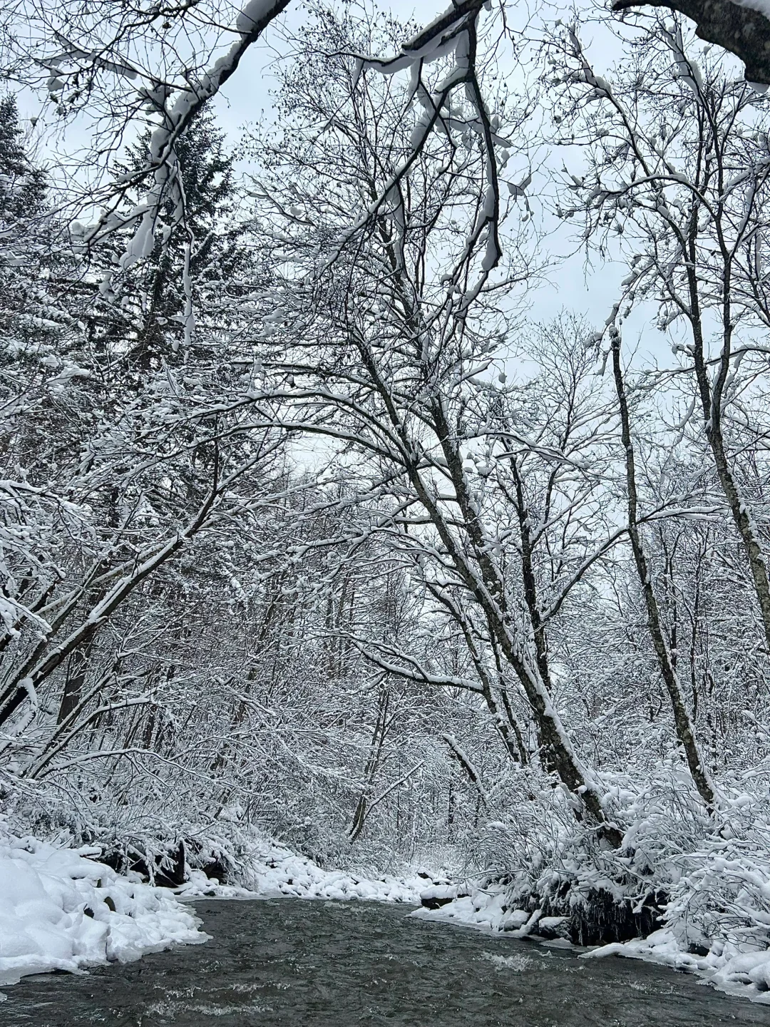 11.30长白山西坡漂流实况！！！！