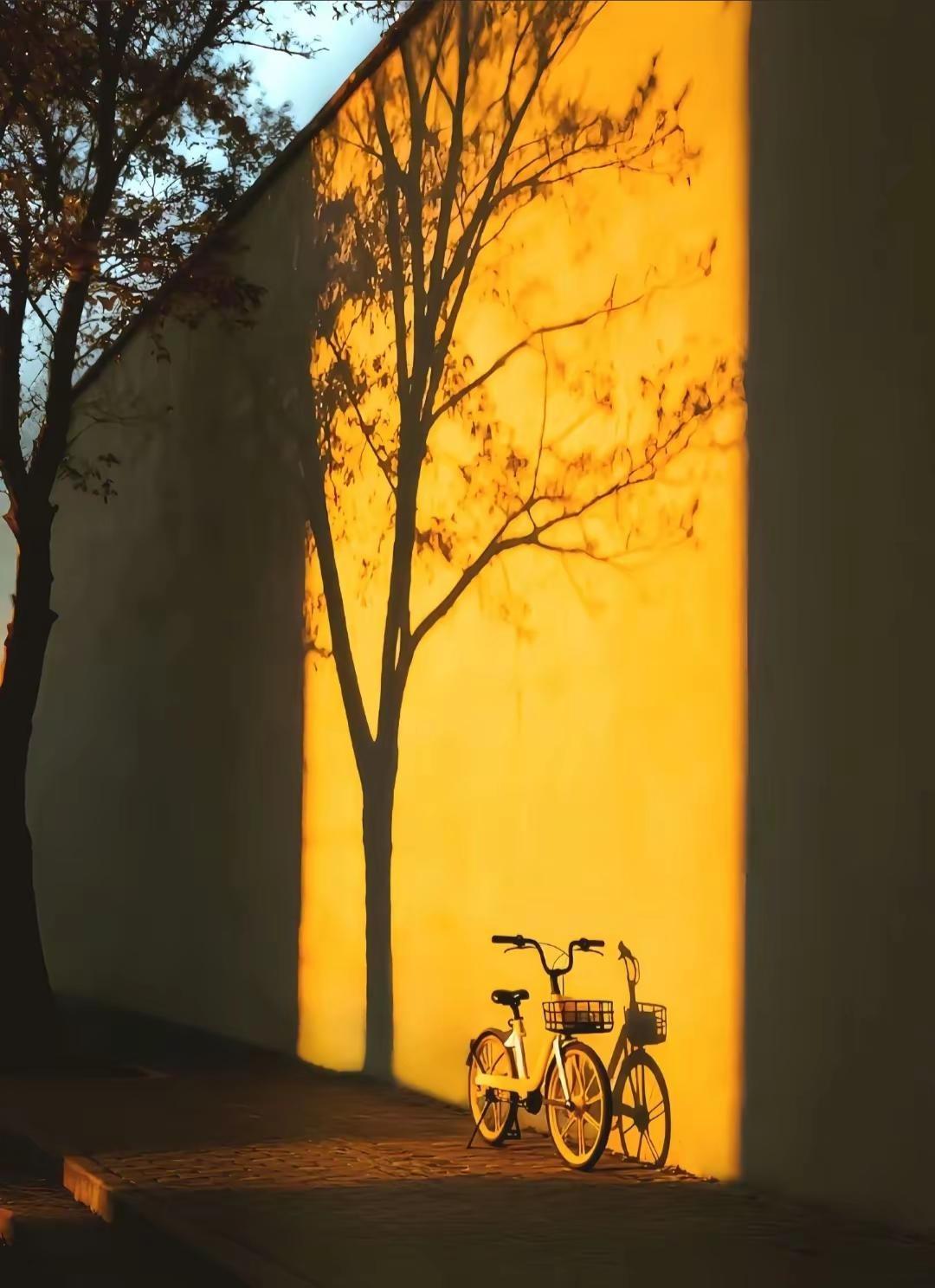 最后能让你安宁的不过是一个阳光充足的角落，和一颗不再四处张望的心～～～。