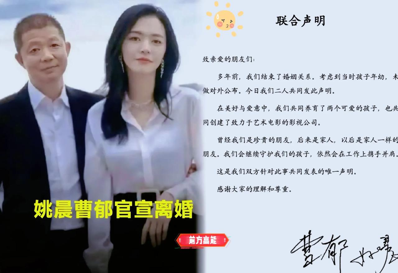 姚晨突然官宣离婚炸翻全网，隐婚多年才公开，真的只是为了孩子吗？我看没那么简单。