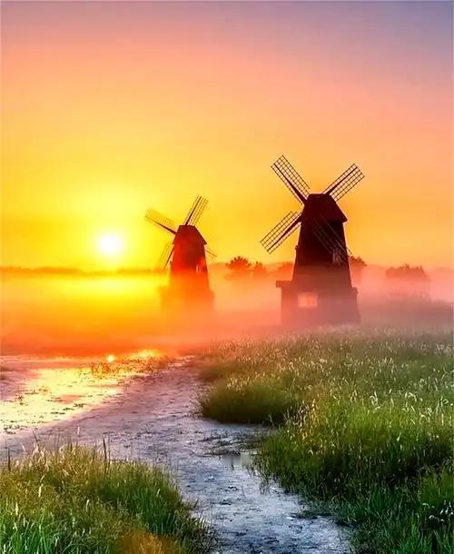 人到了五十岁，
最大的婚姻遗憾，
是你守着她过了半辈子，
却从来没真正
看懂过她