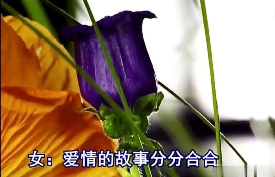 #为什么一恋爱就患得患失##这是我的心里话# 所谓的缘分，在互联网时代是泛滥的，