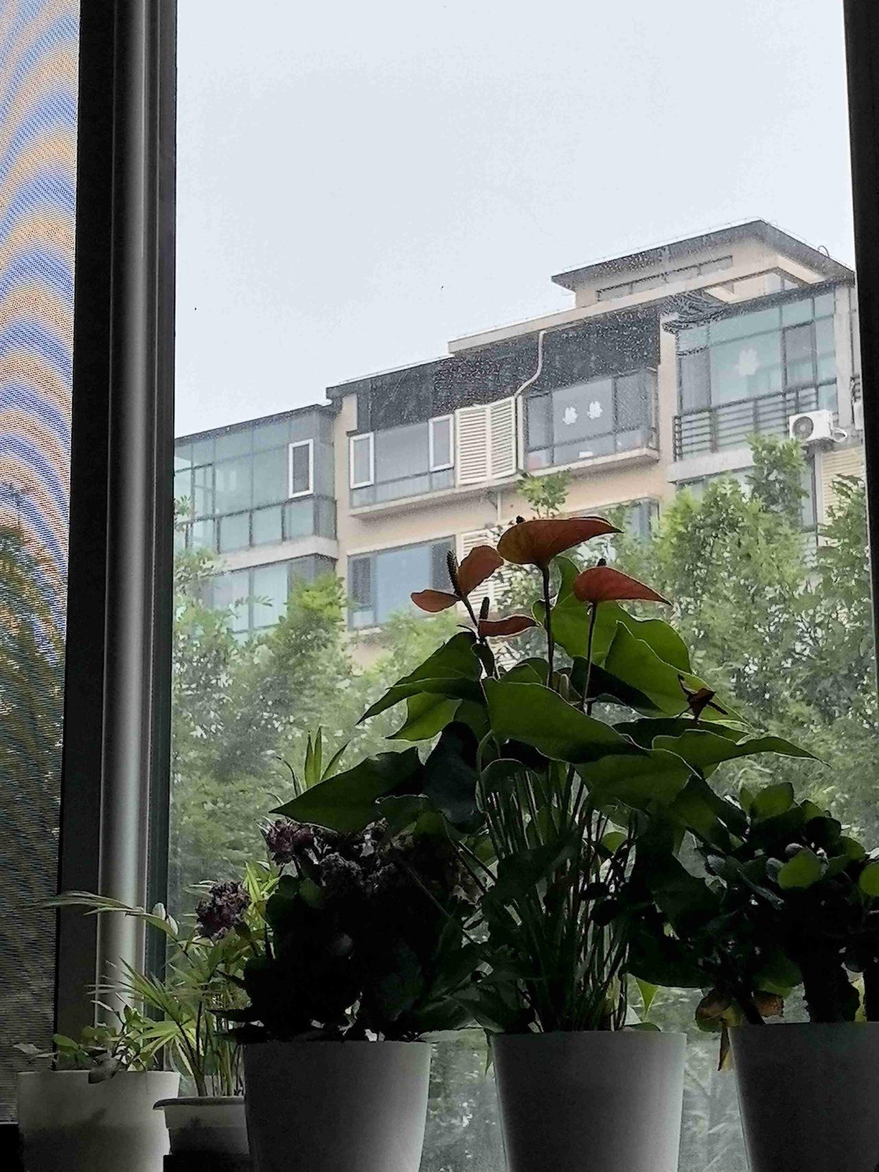 我的今日状态：😁悠闲自在
我这里的天气：☀️雾～晴天