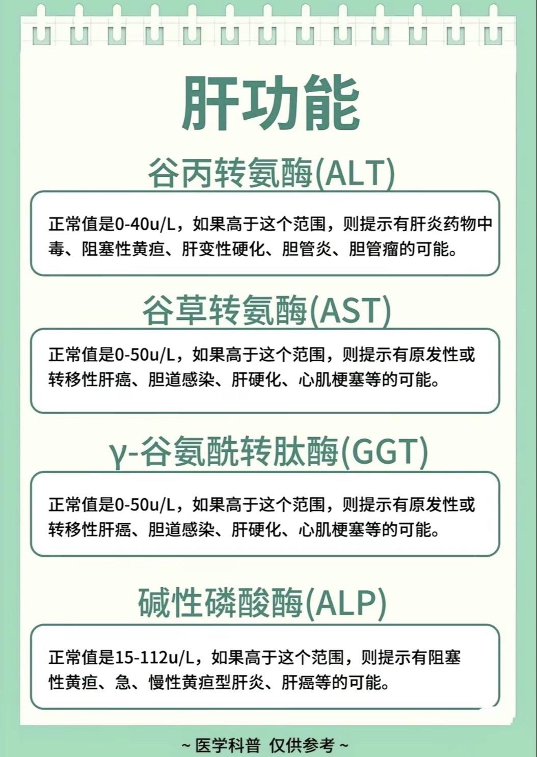 肝功能 医学科普