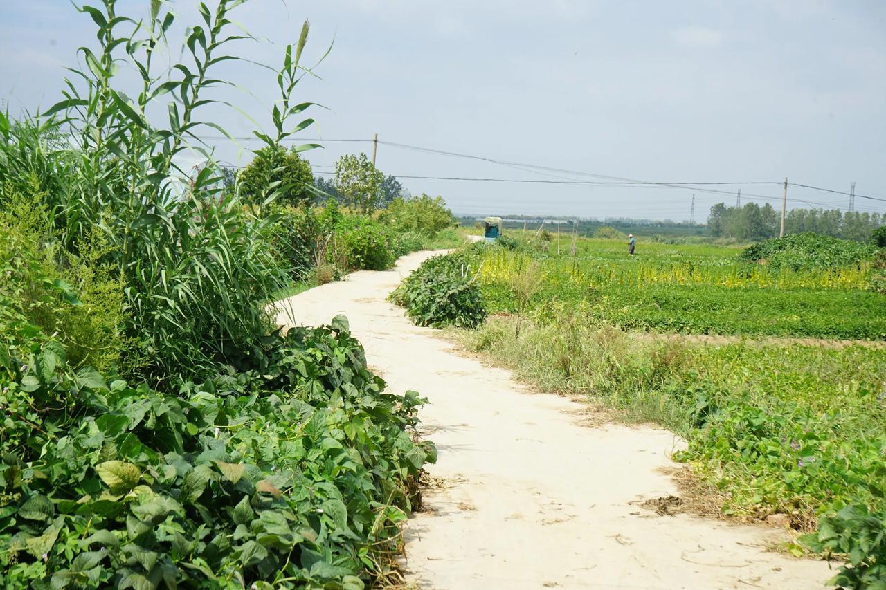 一路山色，随手拍一张风景照