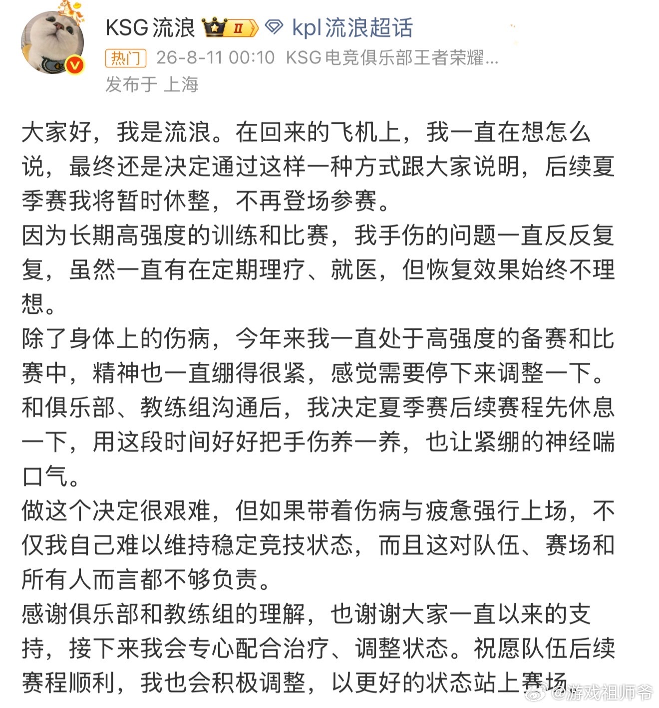 流浪休息流浪夏季赛休整看完流浪 长文心里五味杂陈。反复折磨的手伤，长期紧绷的精神