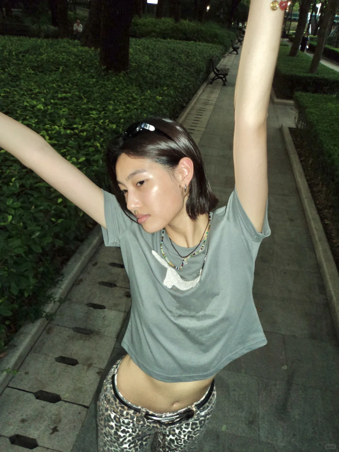 夏天的绿色