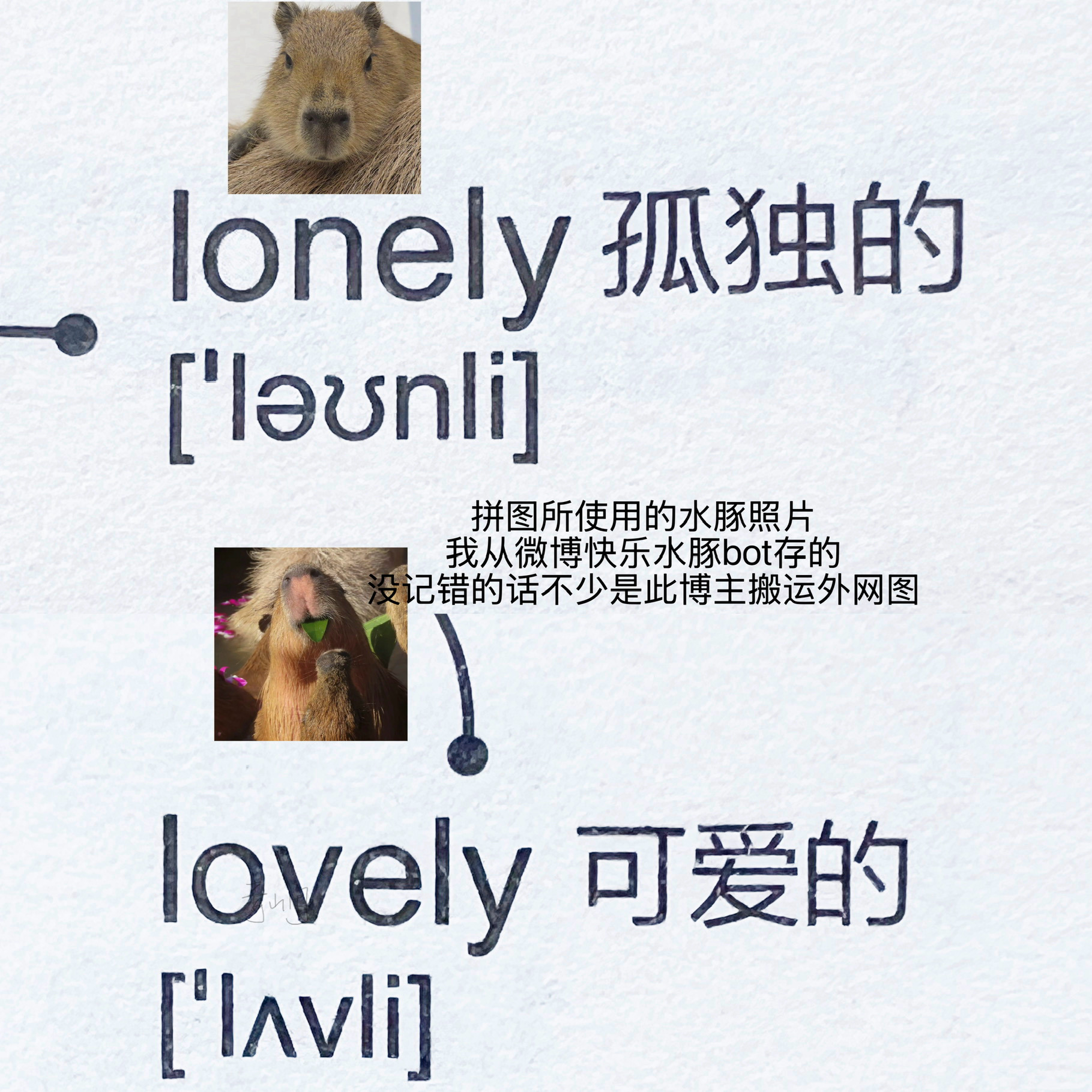 重学英语的我认可思维导图速成书的用处一般也不轻易想到 今天背书发现创造单词的人好