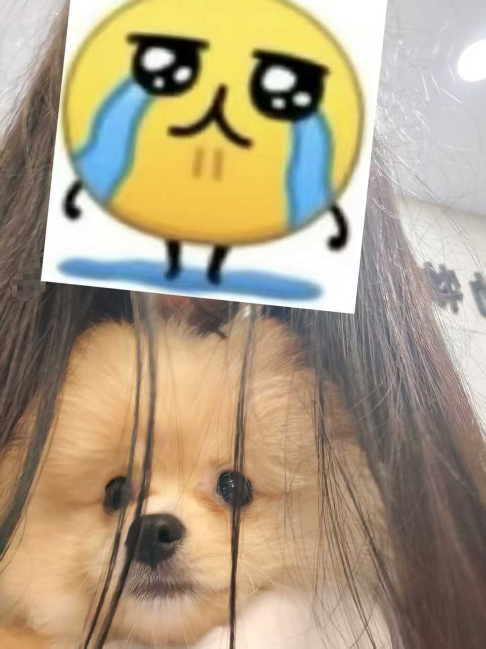 洗澡前vs洗澡后。真面目居然这么丑！ 