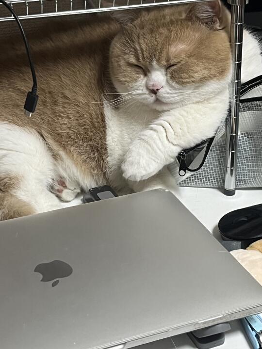 大佬坐姿
