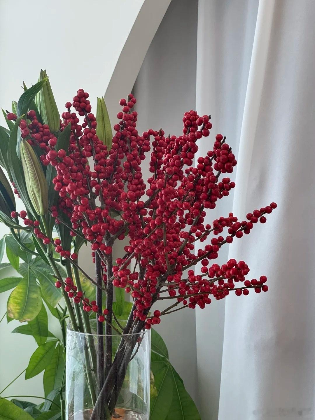 前段时间为了减肥，过度节食，结果营养严重跟不上，不仅体重没掉多少，还导致月经推迟