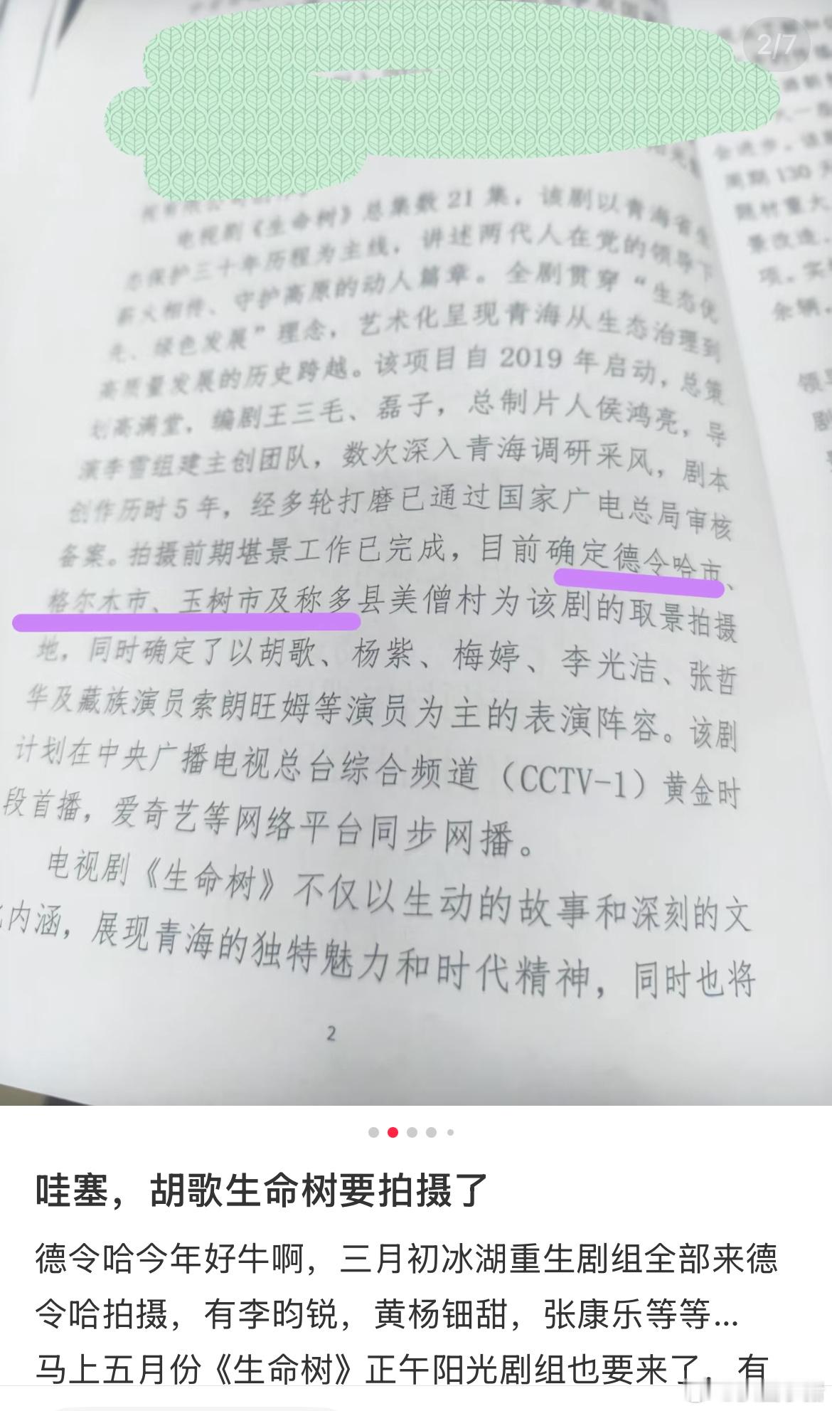 《生命树》演员阵容：胡歌 杨紫 梅婷 李光洁 张哲华 ​​​