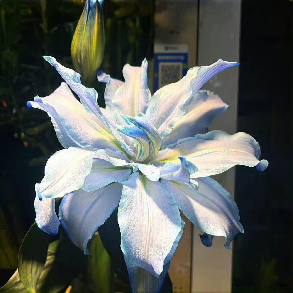 朋友圈壁纸／氛围感壁纸／ins风壁纸／高级感背景图／氛围感背景图／ins风背景图