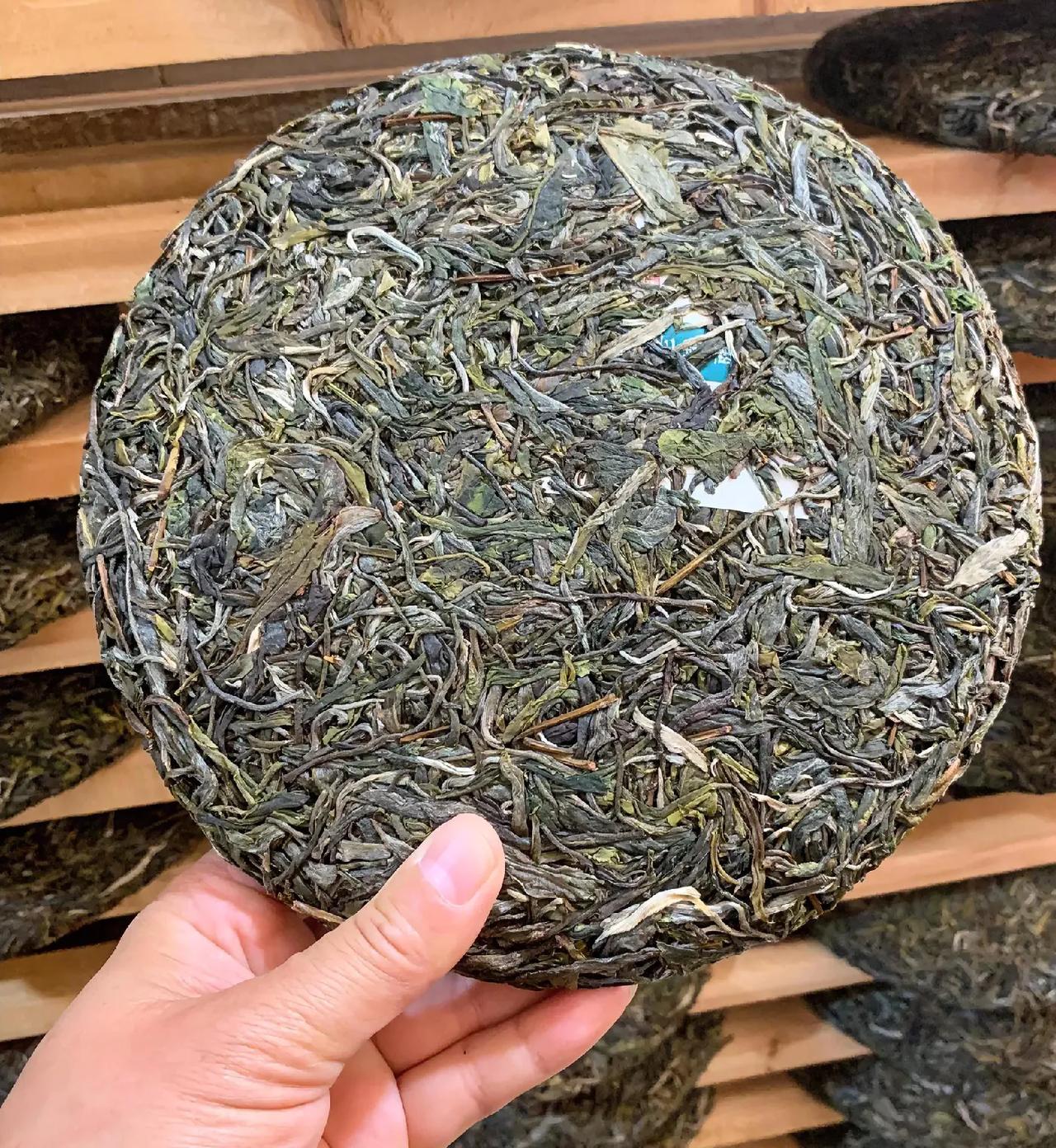 苏轼:《次韵曹辅寄壑源试焙新芽》——品茶，亦是品人

这首七言律诗，是苏轼对好友