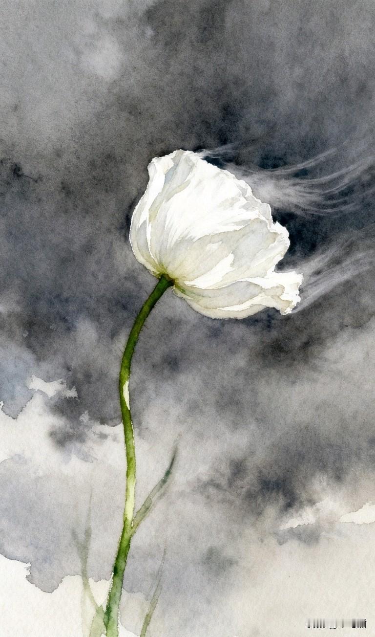 当车辆越过红灯冲进了校园，给多少学校出示了一份警惕啊，学校门口就不应该有车辆路过