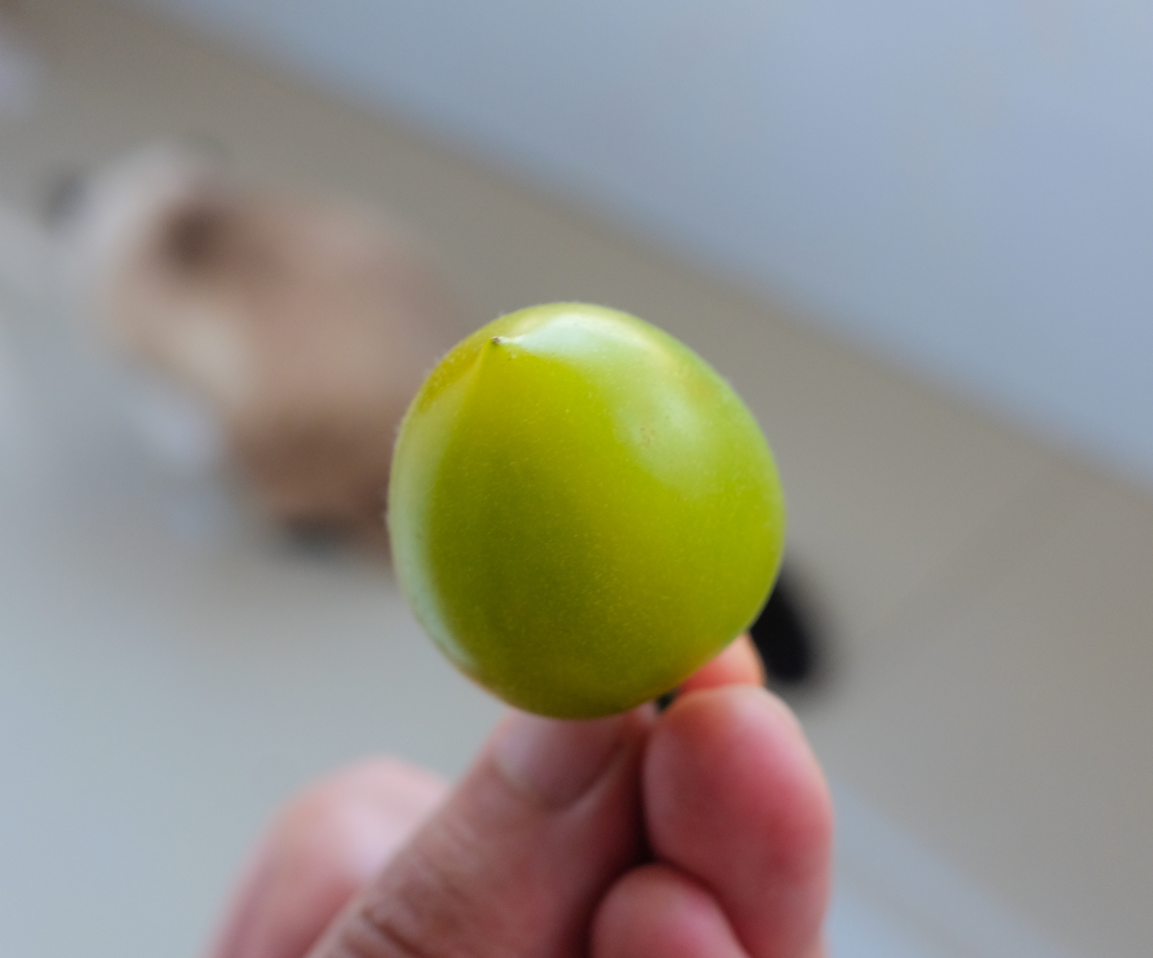小番茄又上架啦，品质还是一如既往地好，介绍在图三~（，抽三人，每人送一箱小番茄，