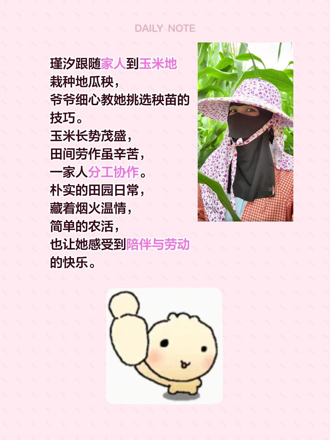 瑾汐的欢乐在这个家！瑾汐跟随家人到玉米地栽种地瓜秧，爷爷细心教她挑选秧苗的技巧。