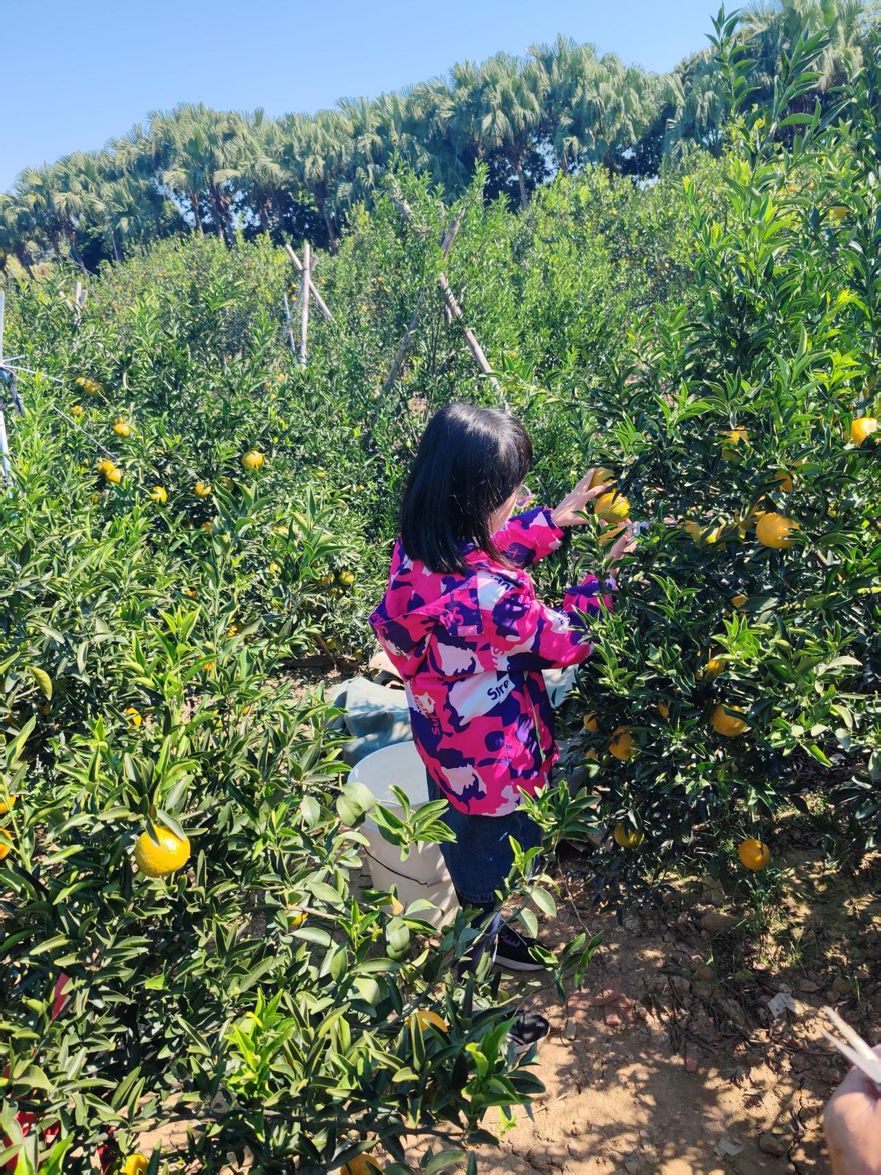 2026最想实现的一件事无病无痛，全家人吉祥如意！世界和平！无灾无难！