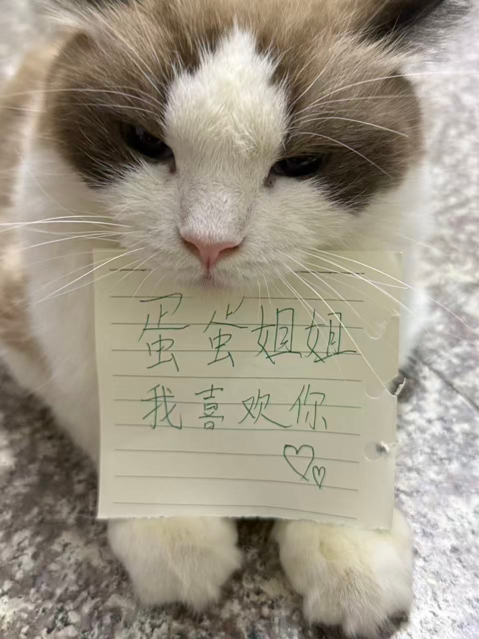 嗯哼 