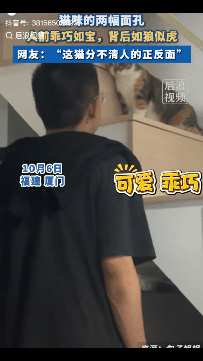 “解释不清了！”女子的男友来家玩，见女子的宠物猫后甚是喜欢，就多看了两眼，谁知，