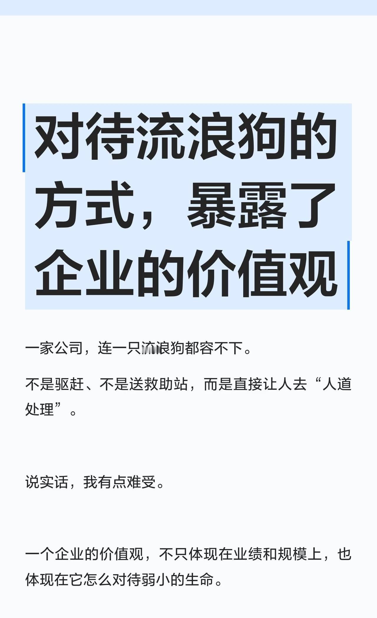 对待流浪狗的方式，暴露了企业的价值观
反虐待动物 社会责任感 动物保护 尊重生命