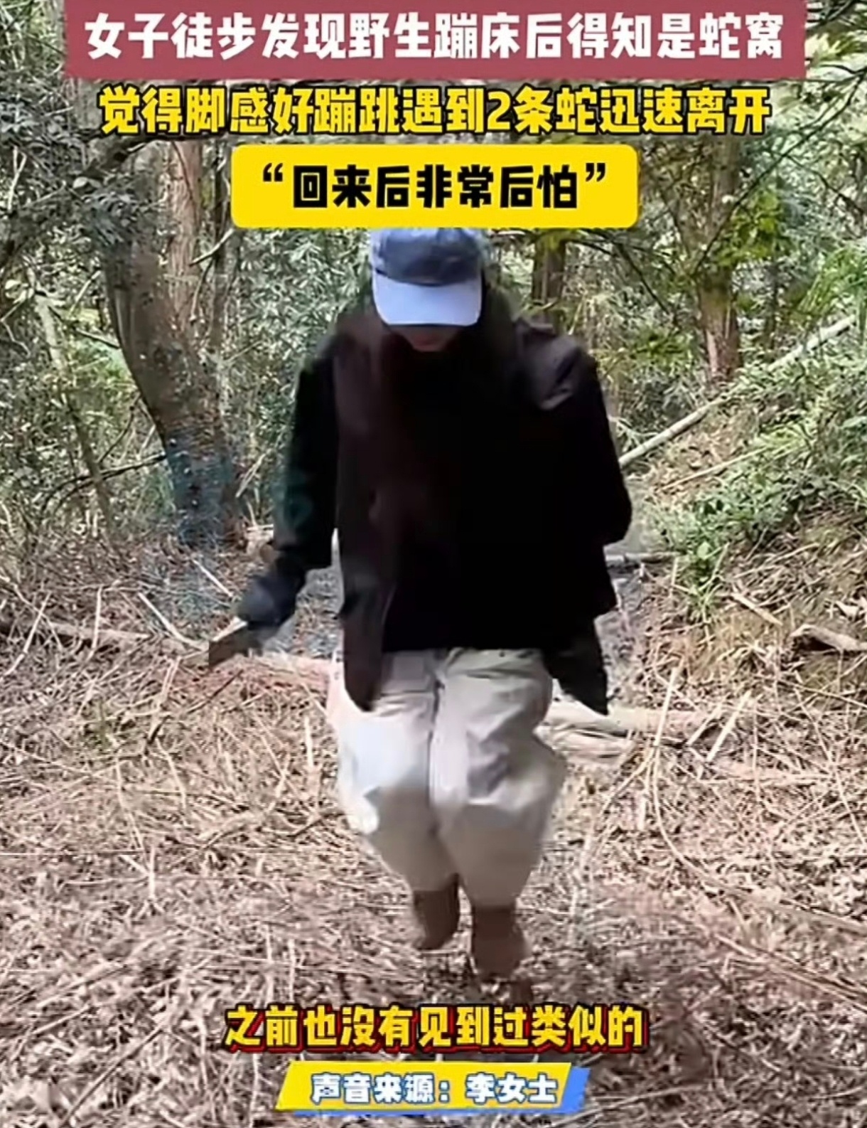 女子徒步误将蛇窝当野生蹦床就算不是蛇窝，不怕是陷阱吗！？[笑cry][笑cry]