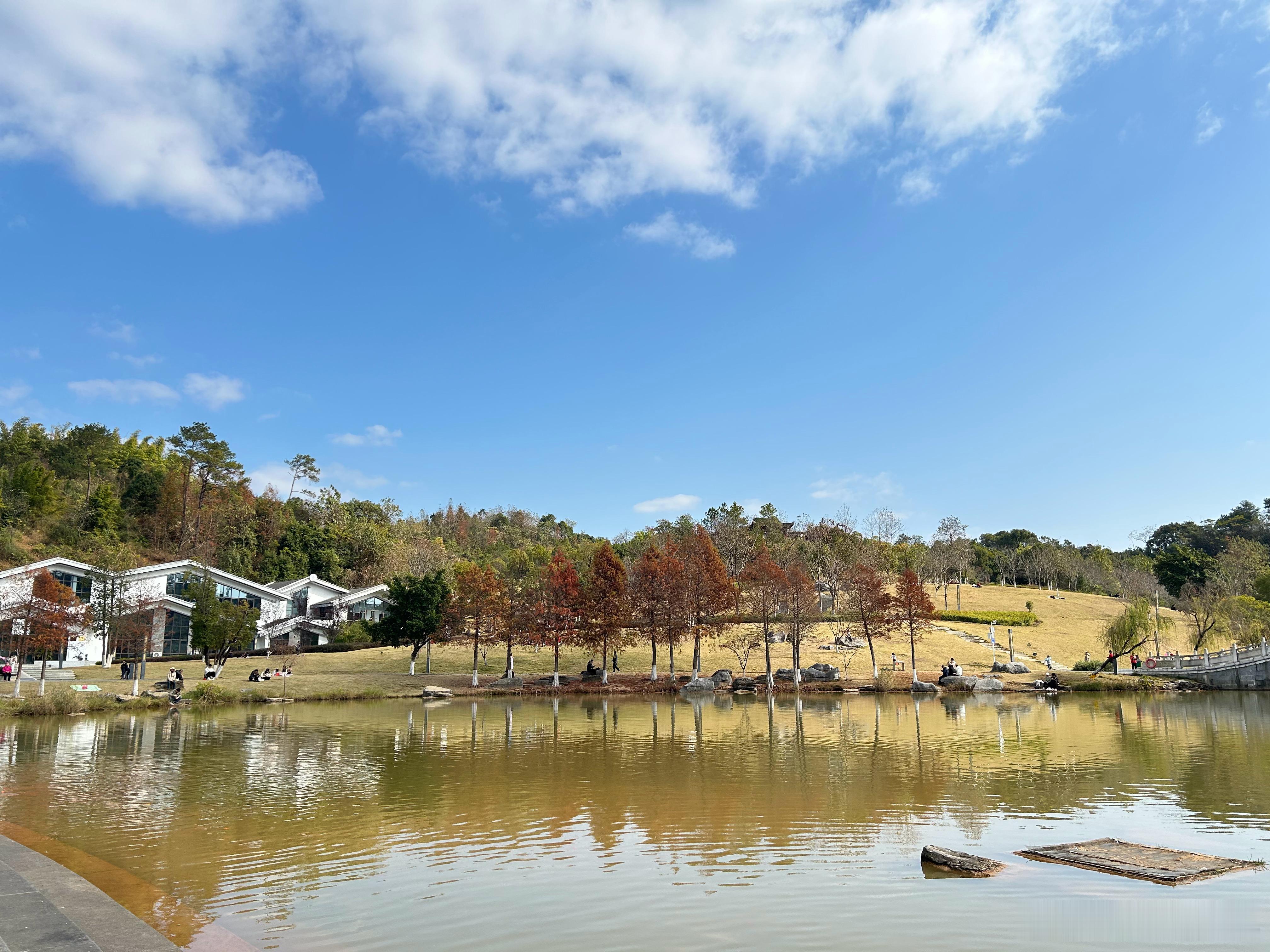 陈小群交易悟道25条铁律，我仔细地品了一下，发现这基本是每个顶级游资上位的必经之