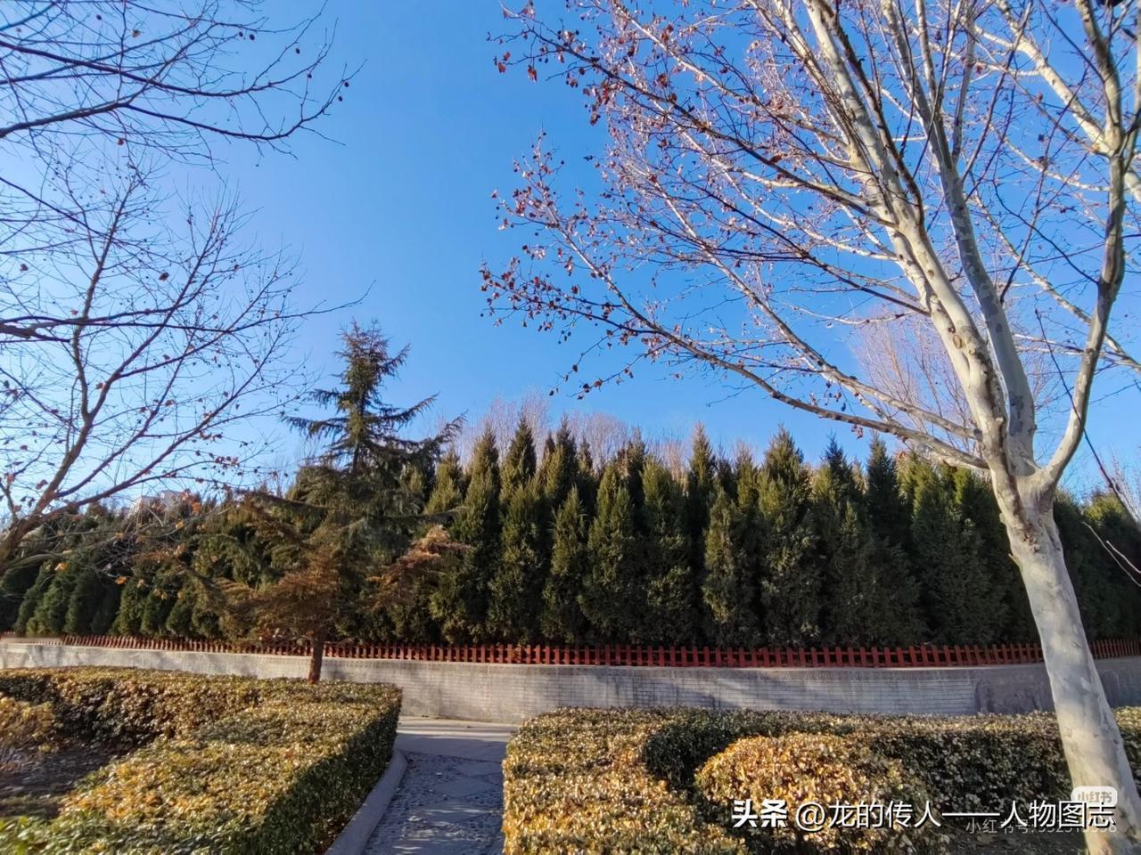 冬日生活打卡季