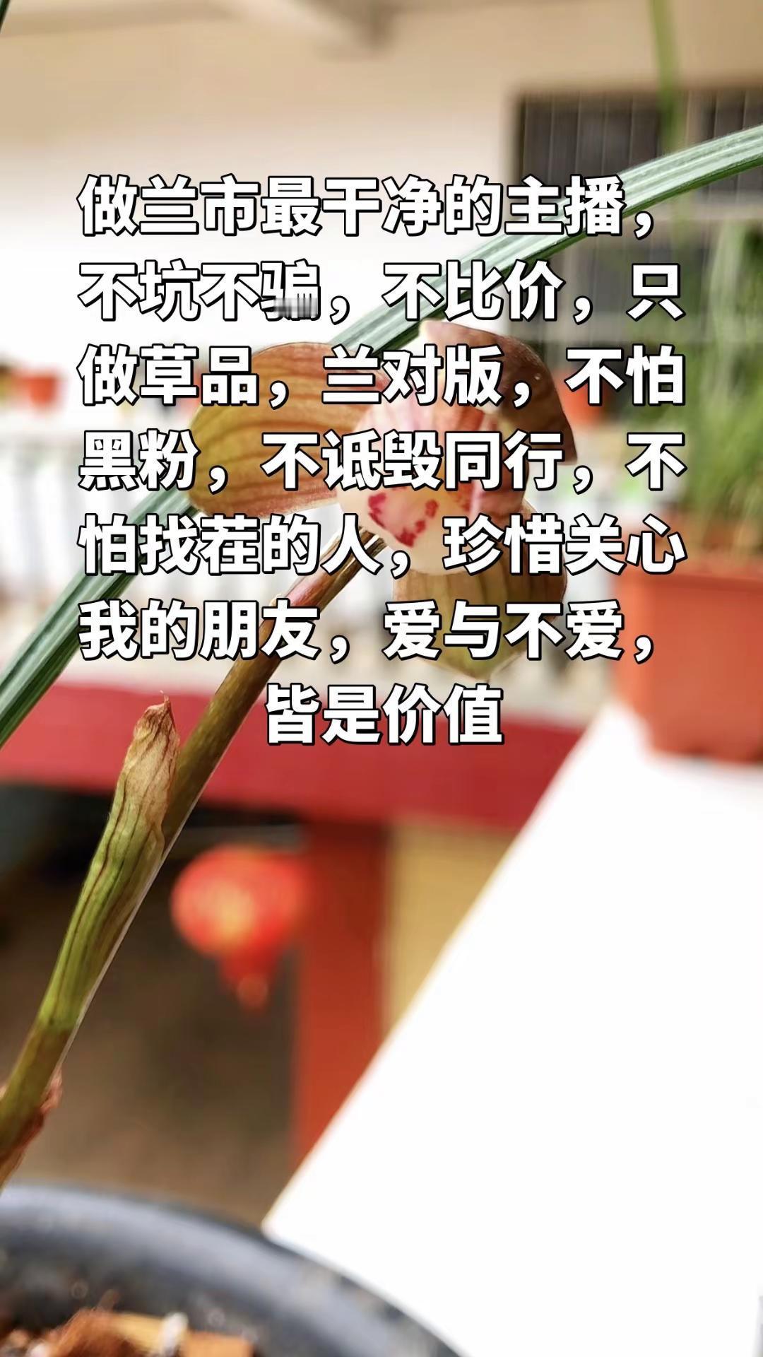 兰市混沌，爱财不如命，同行皆是益友。不怕黑，不比价，只做货对，不愧良心，接受大咖