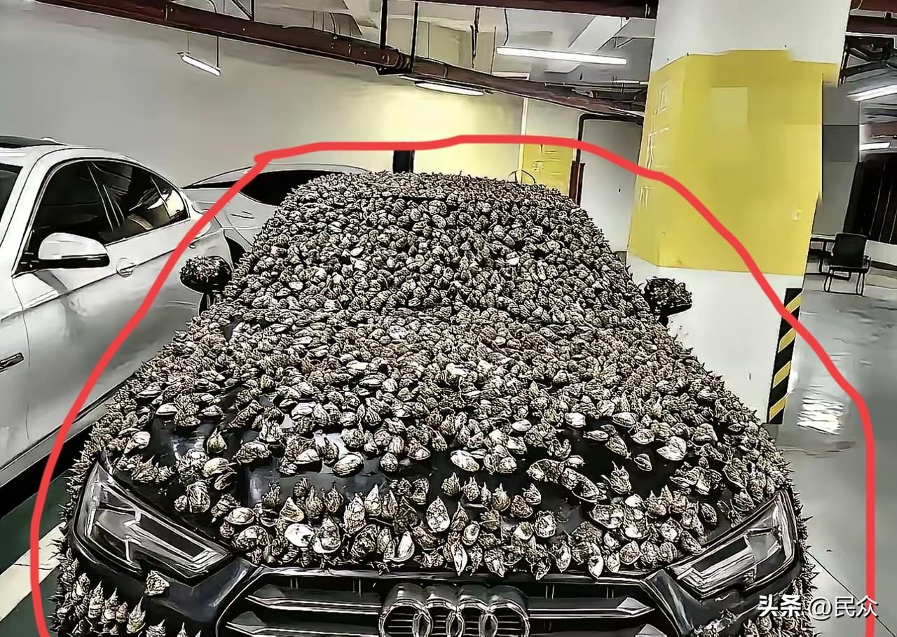 刚刷到一个让人直呼内行的操作。

自家花重金买的车位，被人结结实实霸占了10天。