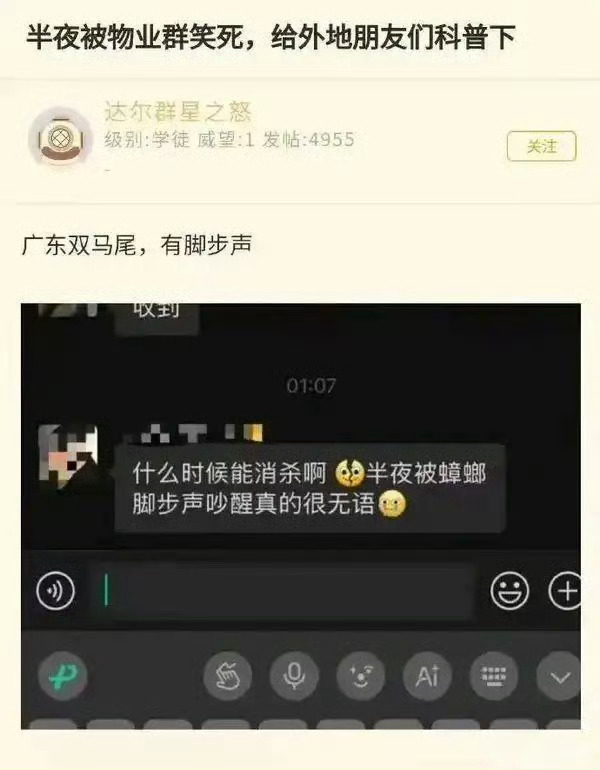 脚步声？真的假的？我需要广东网友！ ​​​