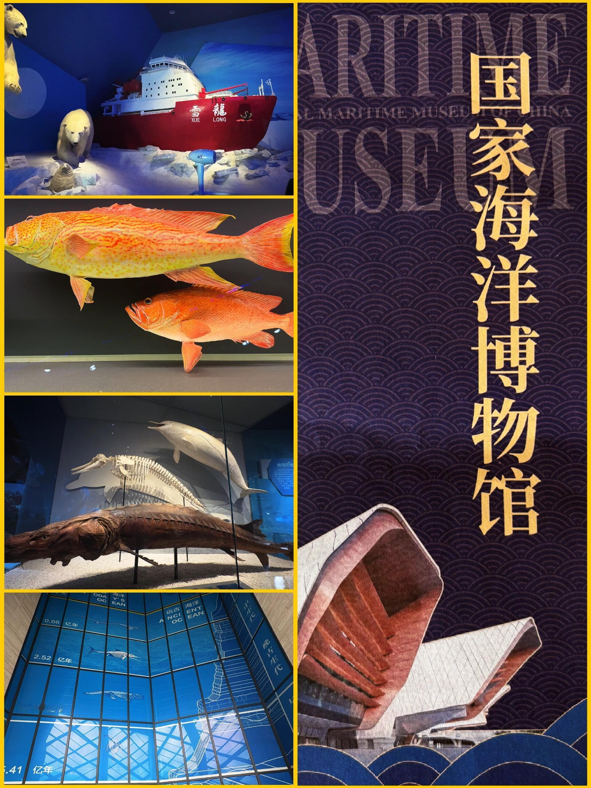 博物馆游🌊国家海洋博物馆｜海上故宫，向海而生——中国首座国家级海洋博物馆，一站
