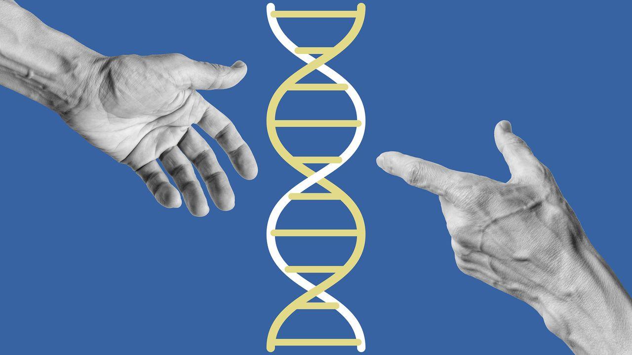 作家莉丝·巴尔内奥德探讨了微嵌合现象这一奇特而发人深省的世界——即某人的细胞存在