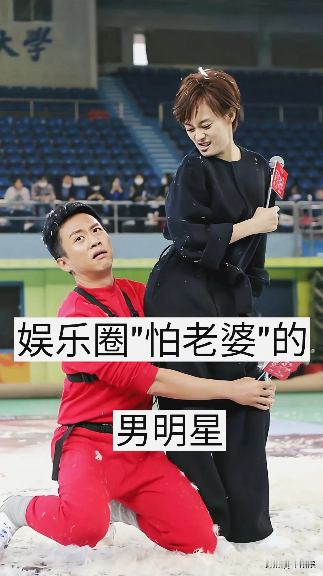 怕老婆也是一种爱的表现。
沙溢和胡可夫妻在日常生活中的趣味互动，展示了他们之间的
