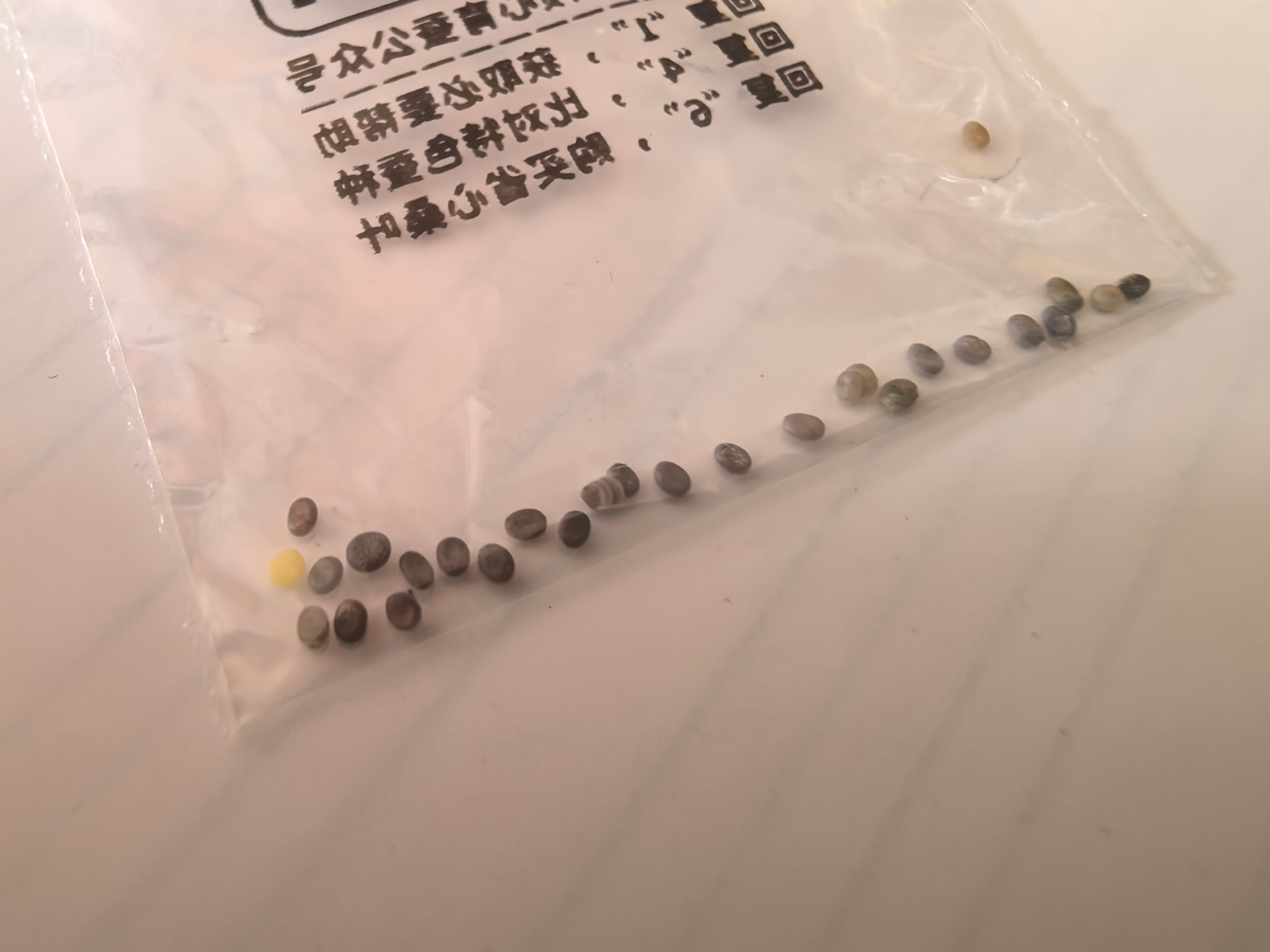 周末了，骑着小电驴去接娃。往返学校的路上，全是接孩子的家长。路有点窄，聪明的都没