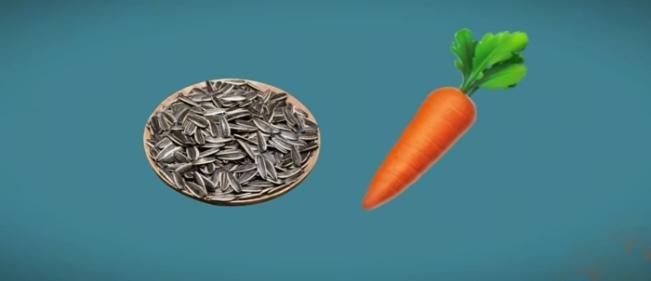 〔看图猜地名〕
图中画面真有乐；
谐音猜个地名来；
瓜子还有胡萝卜；
这个城市山