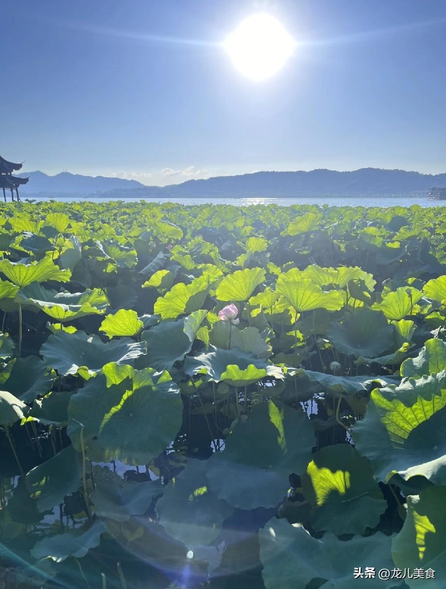 2026年夏天热不热？清明农谚早知晓！今年会很热吗
 
春夏交替之际，夏天的气温