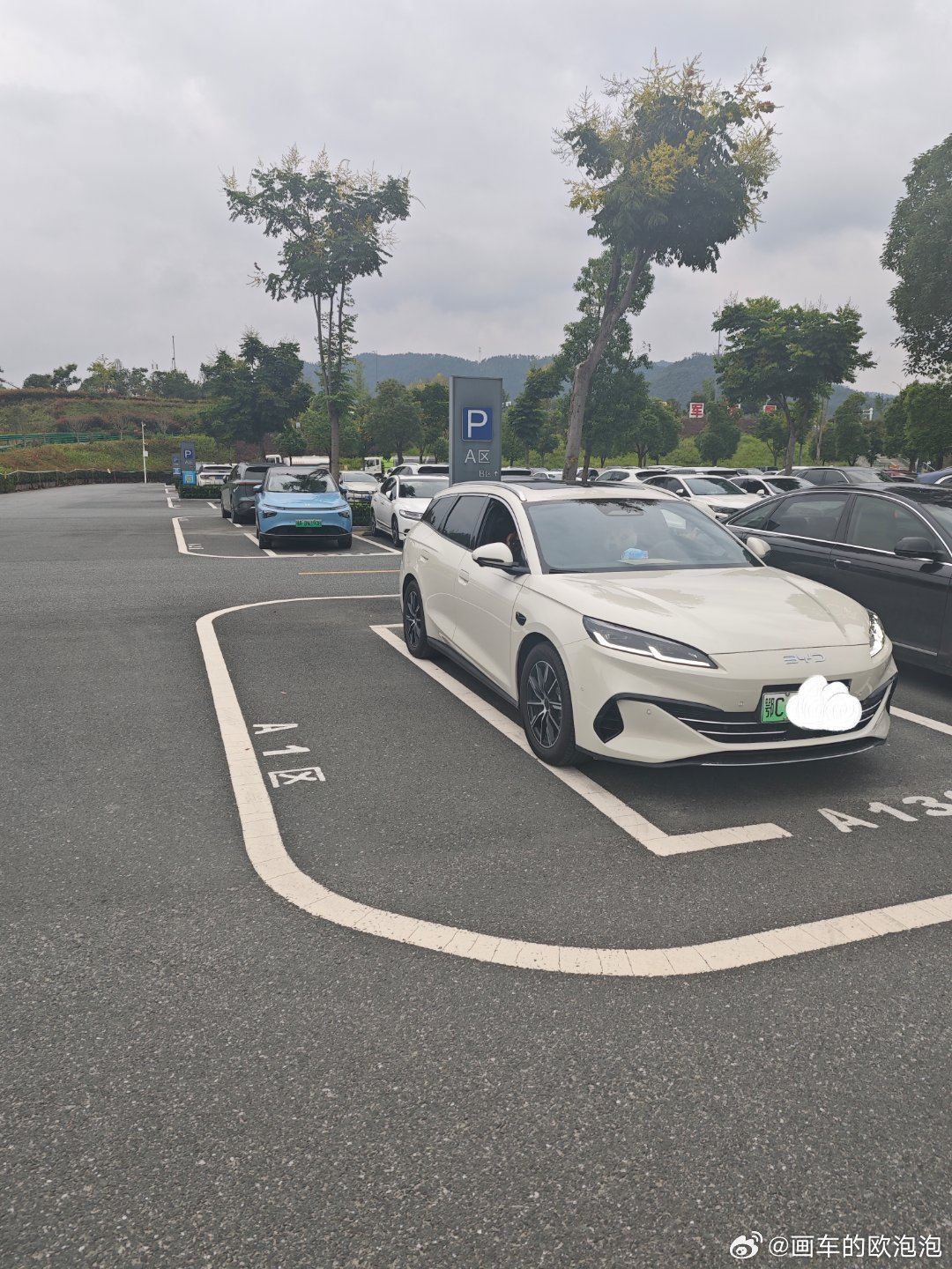 原来每一个停最外侧车位的都会压线停边边呀[摊手] ​​​