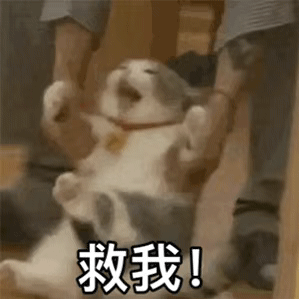 突然发现一件事我跟大家大家都跟说 “北京见”粗算了一下感觉快百人跟我说北京见现在