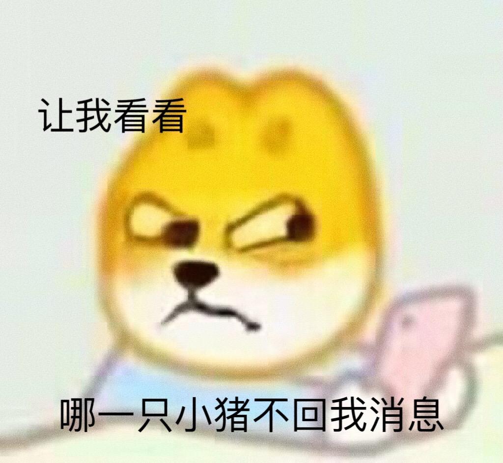 让我看看，哪只一小猪不回我消息。#创作灵感 #表情包
