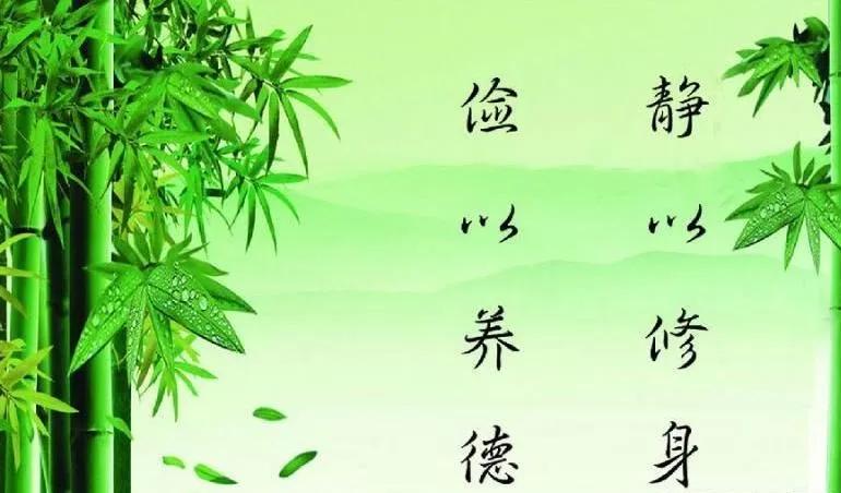【天道有本账：野性才是续命丹】
各位老铁发现没？这世道邪门得很——啃馊馒头的流浪