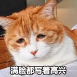 亲亲读读体育