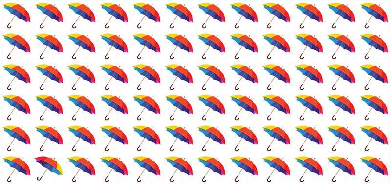 你能在45秒找到不同雨伞吗