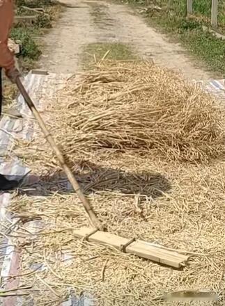 下图这个打油菜籽的木制工具用南通各地方言叫什么？一根木杆，头上是转动的木条，用来