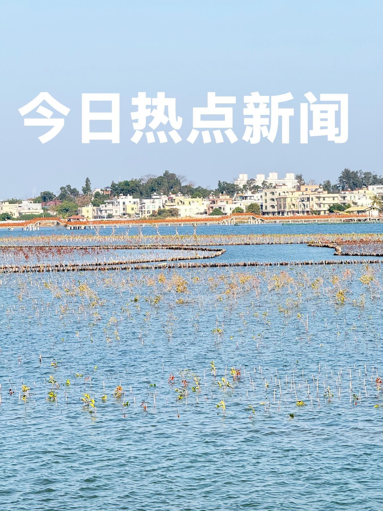 今天是2026年2月3日   周二
今日热点新闻：

1、2026年春运已启动，