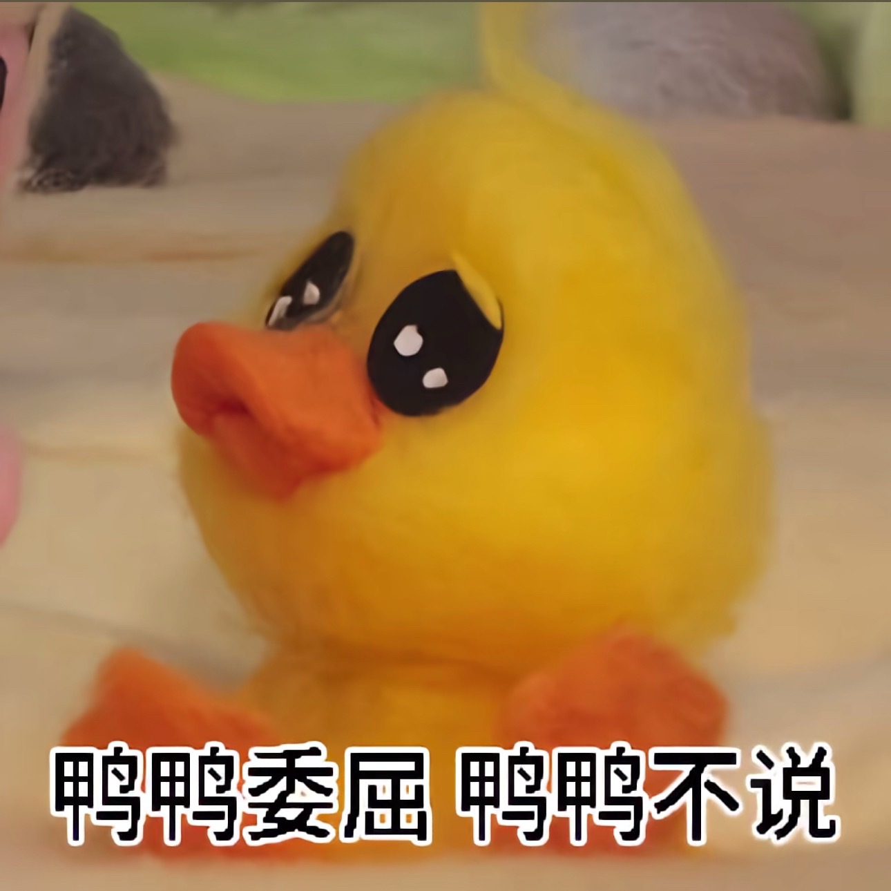 全世界都在欺负我的宝宝 